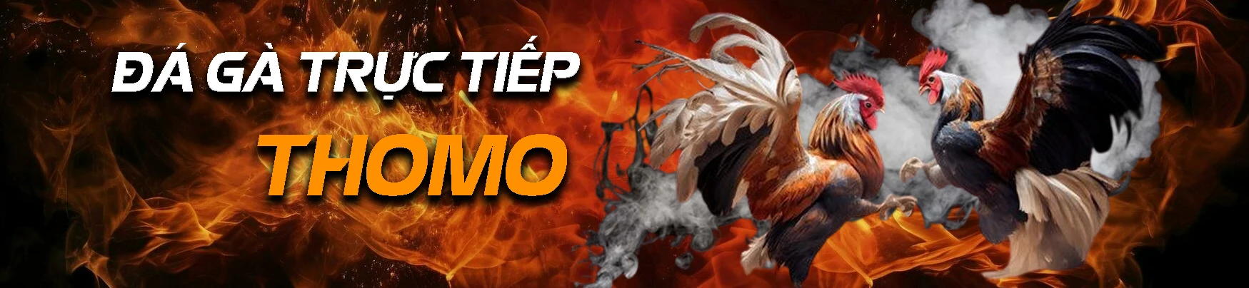 Banner ĐÁ GÀ TRỰC TIẾP