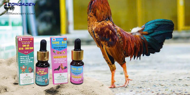 Các loại thuốc tăng lực được nhiều ưa chuộng cho gà