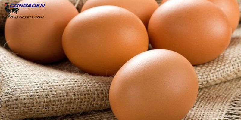 Cách bảo quản trứng gà để ấp