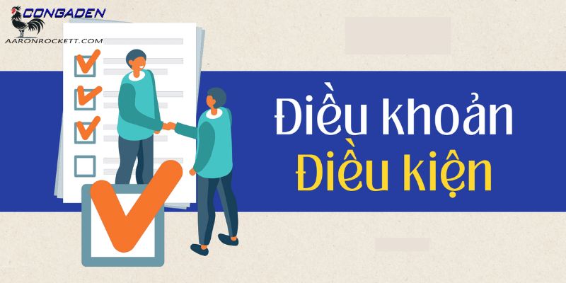 Điều kiện điều khoản có tầm quan trọng như thế nào
