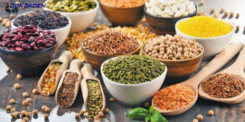 Khẩu phần ăn không thể thiếu đối với gà chọi