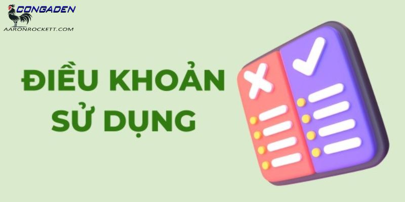 Người dùng có quyền gì trong điều kiện điều khoản?