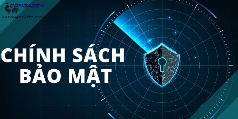 Nội dung cập nhật của chính sách bảo mật