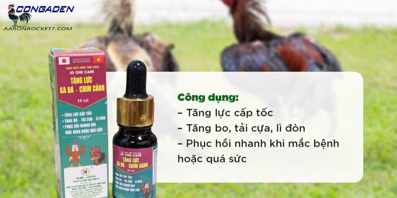 Sử dụng thuốc tăng lực cho gà đá cần chú ý những gì?
