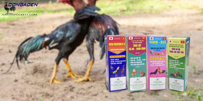 Vai trò chính của thuốc tăng lực cho gà đá