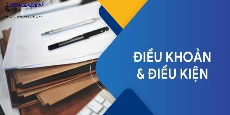 Vì sao nên hiểu rõ điều kiện điều khoản?